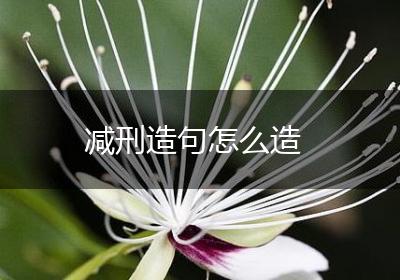 减刑造句怎么造