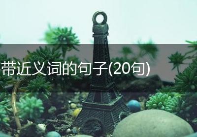带近义词的句子(20句)