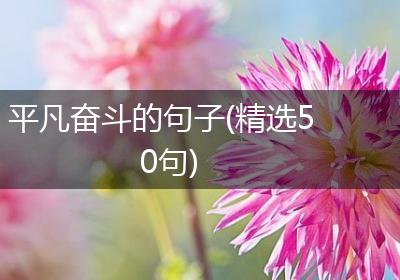 平凡奋斗的句子(精选50句)