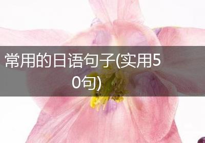 常用的日语句子(实用50句)