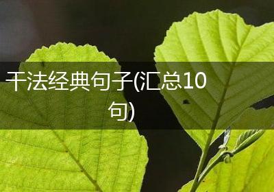 干法经典句子(汇总10句)