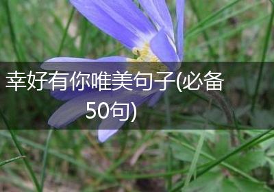 幸好有你唯美句子(必备50句)