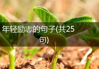 年轻励志的句子(共25句)