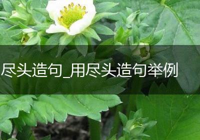 尽头造句_用尽头造句举例