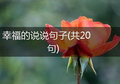 幸福的说说句子(共20句)