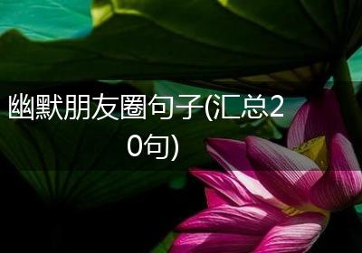 幽默朋友圈句子(汇总20句)
