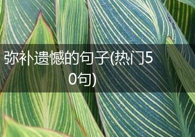 弥补遗憾的句子(热门50句)