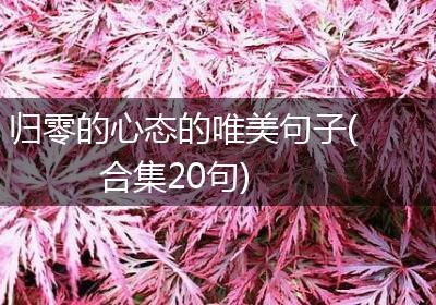 归零的心态的唯美句子(合集20句)