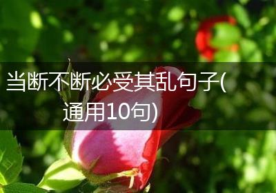 当断不断必受其乱句子(通用10句)