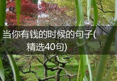 当你有钱的时候的句子(精选40句)