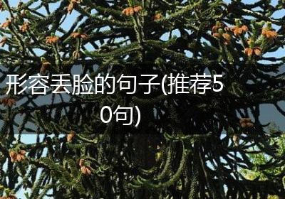 形容丢脸的句子(推荐50句)