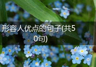 形容人优点的句子(共50句)