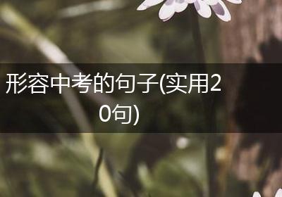 形容中考的句子(实用20句)