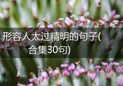 形容人太过精明的句子(合集30句)