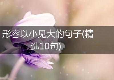 形容以小见大的句子(精选10句)