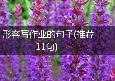 形容写作业的句子(推荐11句)