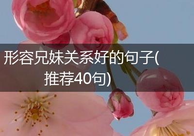 形容兄妹关系好的句子(推荐40句)