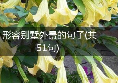 形容别墅外景的句子(共51句)