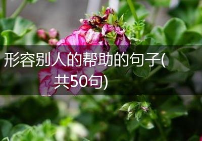 形容别人的帮助的句子(共50句)