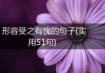 形容受之有愧的句子(实用51句)