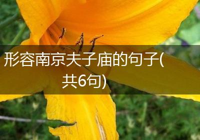 形容南京夫子庙的句子(共6句)