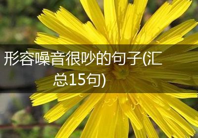 形容噪音很吵的句子(汇总15句)