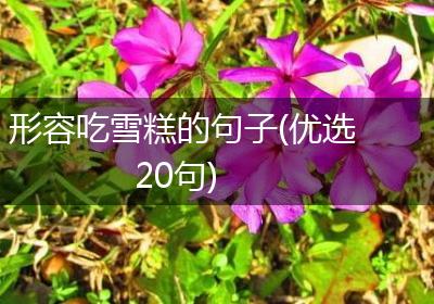 形容吃雪糕的句子(优选20句)