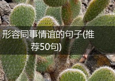 形容同事情谊的句子(推荐50句)