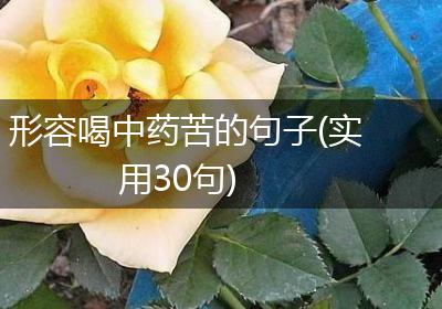 形容喝中药苦的句子(实用30句)