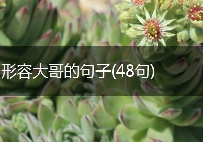 形容大哥的句子(48句)