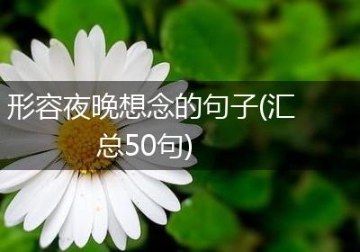 形容夜晚想念的句子(汇总50句)