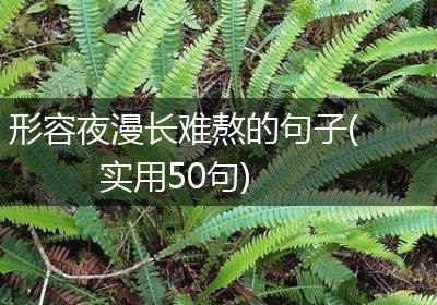 形容夜漫长难熬的句子(实用50句)
