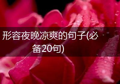 形容夜晚凉爽的句子(必备20句)