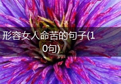 形容女人命苦的句子(10句)