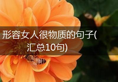 形容女人很物质的句子(汇总10句)