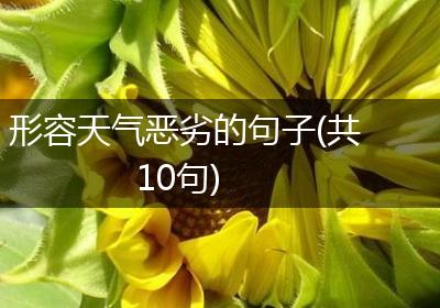 形容天气恶劣的句子(共10句)