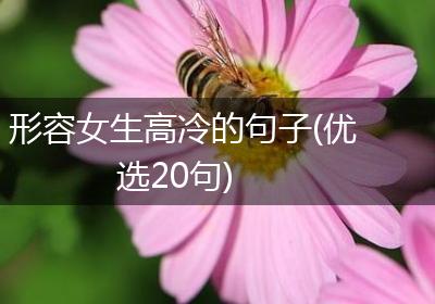 形容女生高冷的句子(优选20句)