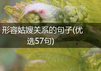 形容姑嫂关系的句子(优选57句)