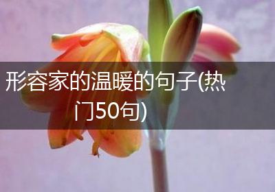 形容家的温暖的句子(热门50句)