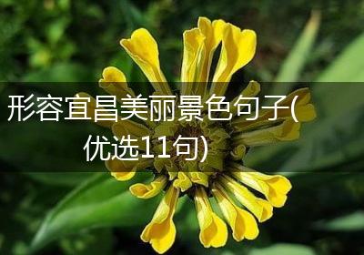 形容宜昌美丽景色句子(优选11句)