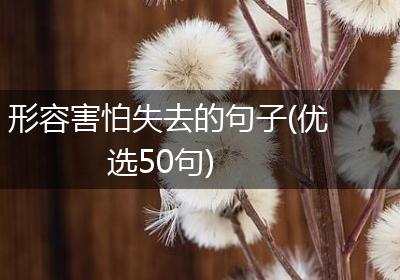 形容害怕失去的句子(优选50句)