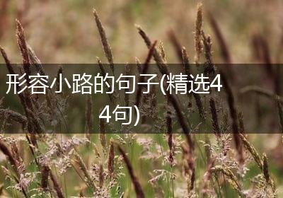 形容小路的句子(精选44句)