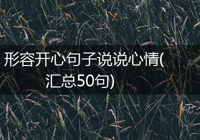 形容开心句子说说心情(汇总50句)