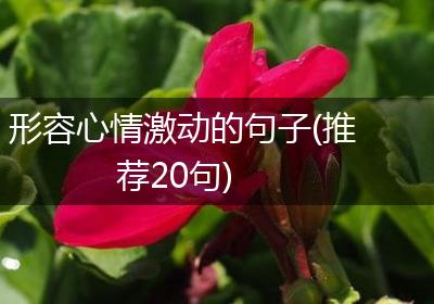 形容心情激动的句子(推荐20句)