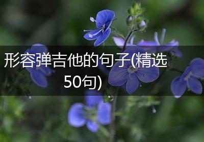 形容弹吉他的句子(精选50句)