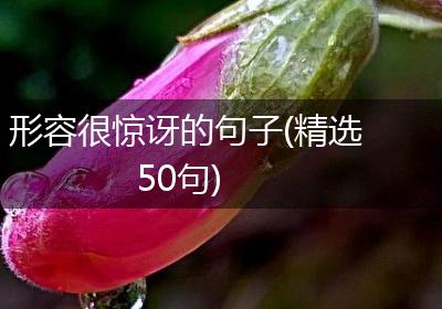 形容很惊讶的句子(精选50句)