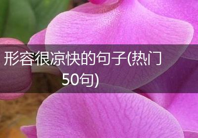 形容很凉快的句子(热门50句)