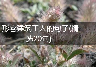 形容建筑工人的句子(精选20句)