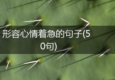 形容心情着急的句子(50句)