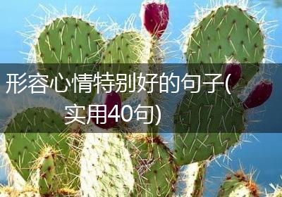 形容心情特别好的句子(实用40句)